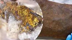 Muž léta doma schovával unikátní poklad starý 4,6 miliardy let, myslel si, že je to zlato