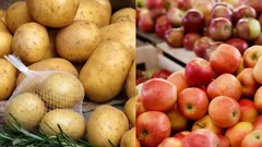 Skladujete brambory společně s jablky? Vědecký objev, který ochrání vaše zásoby – tady je důvod